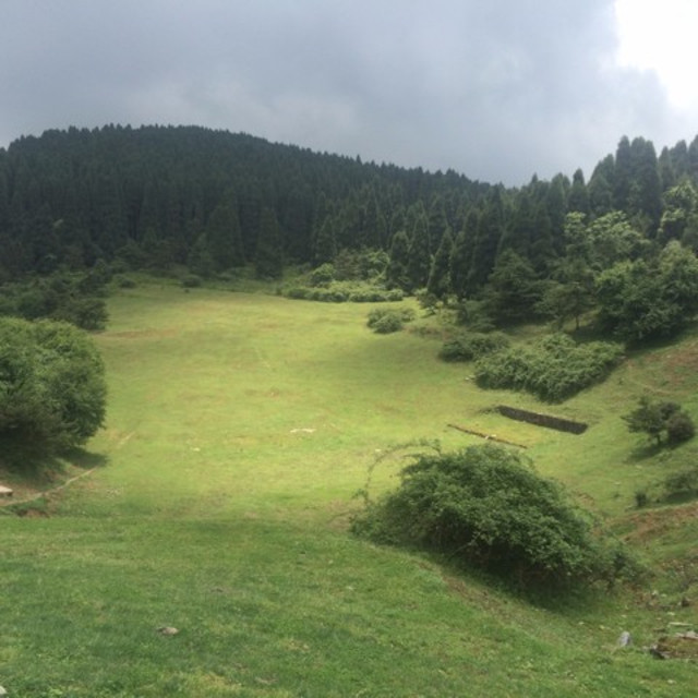 仙女山国家森林公园的景点有大草原,狩猎场