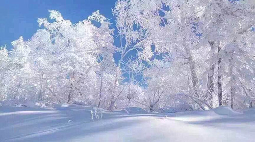 白雪皑皑