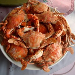 餐饮模块 