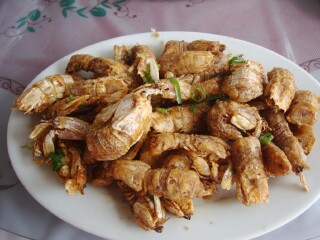 大連最佳旅游路線_怎么去大連旅游_大連旅游跟團(tuán)需多少錢