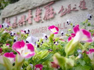 旅行團福建廈門游_福建廈門游跟團多少錢_福建廈門自由行還是跟團好