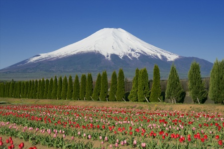 <日本东京-富士山-五合目-忍野八海1日游>当地参团 温泉乐体验  1人发团 天天开团  东京12区内上门接送