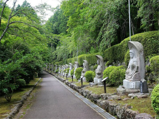 报团旅游日本_去日本的旅行团_几月份去日本旅游最好