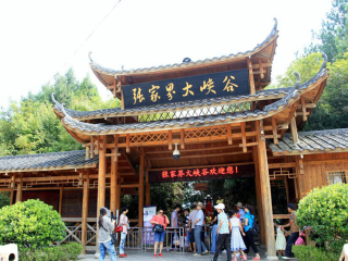 張家界自由行旅游團(tuán)_組團(tuán)去張家界_去張家界靠譜的旅行團(tuán)