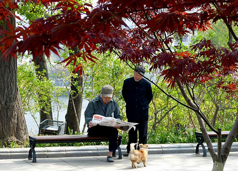 春日暖阳,有老者坐在公园的椅子上看报,心