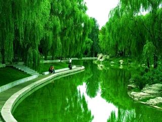 內(nèi)蒙古跟團(tuán)還是自由行_內(nèi)蒙古半自由行_內(nèi)蒙古旅游最佳路線