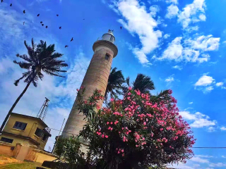 到斯里蘭卡旅游多少錢_斯里蘭卡旅游團報價自由行_斯里蘭卡旅行團自由行