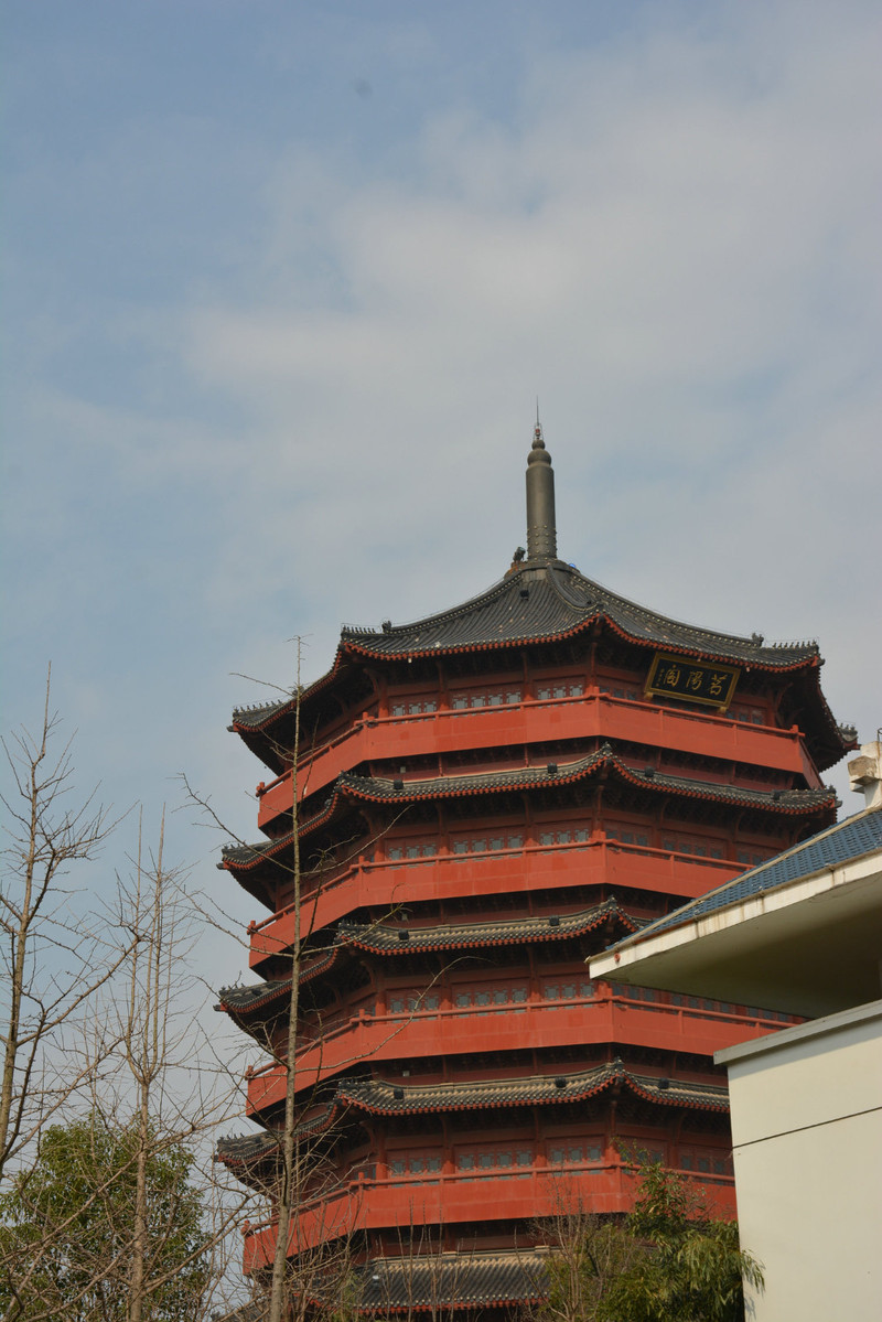 探春【河南信阳一日游】春暖花开,带雪姑娘春游茗阳阁茶韵园