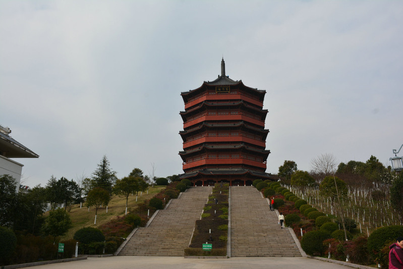 探春【河南信阳一日游】春暖花开,带雪姑娘春游茗阳阁茶韵园