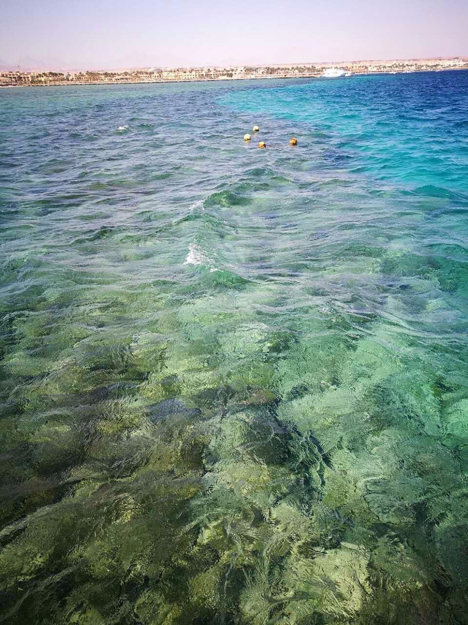 红海的水清澈且颜色多变,数数,有几种颜色?