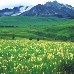 小交通模块 