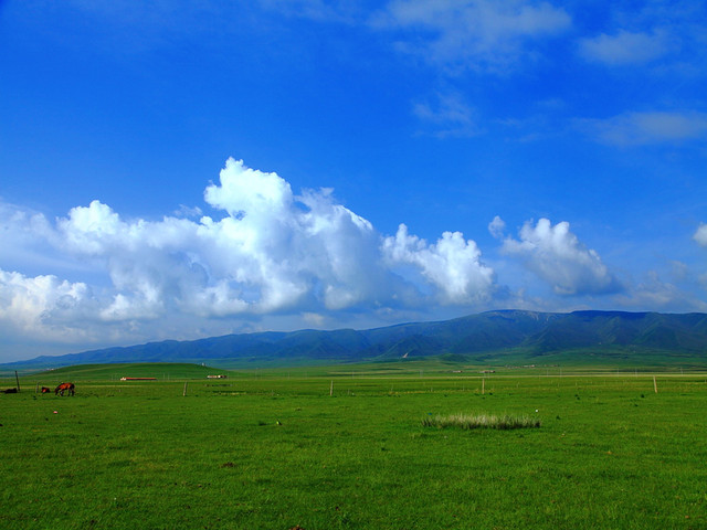  银川-沙坡头-青海湖-张掖丹霞-嘉峪关-莫高窟-鸣沙山双卧11日游>宁青