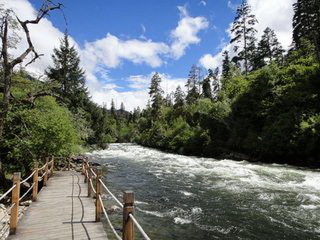 廣州西藏林芝旅游團(tuán)_西藏林芝旅游跟團(tuán)需多少錢_西藏林芝自由行組團(tuán)