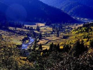 廣州西藏林芝旅游團(tuán)_西藏林芝旅游跟團(tuán)需多少錢_西藏林芝自由行組團(tuán)