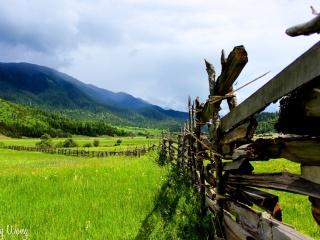 廣州西藏林芝旅游團(tuán)_西藏林芝旅游跟團(tuán)需多少錢_西藏林芝自由行組團(tuán)