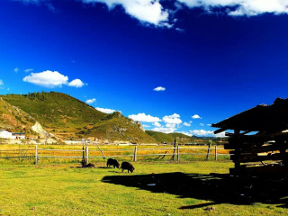 現(xiàn)在去云南麗江旅游多少錢_云南麗江過春節(jié)旅行團(tuán)_云南麗江半自助游