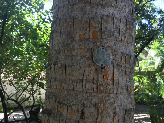 史诗般游记-马代罗宾逊岛,完全版攻略美图费用