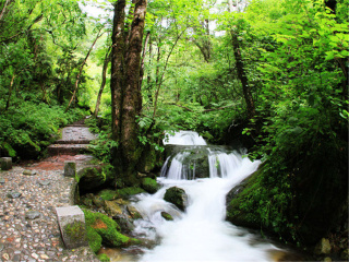 湖南鳳凰古城自由行旅游團_湖南鳳凰古城旅行團旅游報價_去湖南鳳凰古城旅游