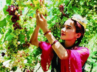 跟團新疆旅游價格表_新疆游特價團_近期新疆游價格