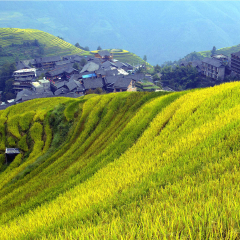 景点模块 