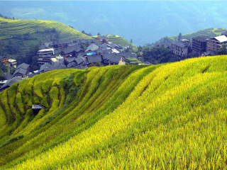 桂林纯玩旅游团_桂林旅游团价格_从深圳到桂林旅游