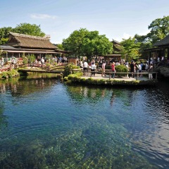 景点模块 