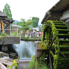 景点模块 