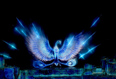 武夷水秀●梦之泉 活动模块