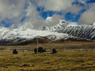 西藏游花多少錢_西藏跟團還是自由行_西藏旅游一次多少錢