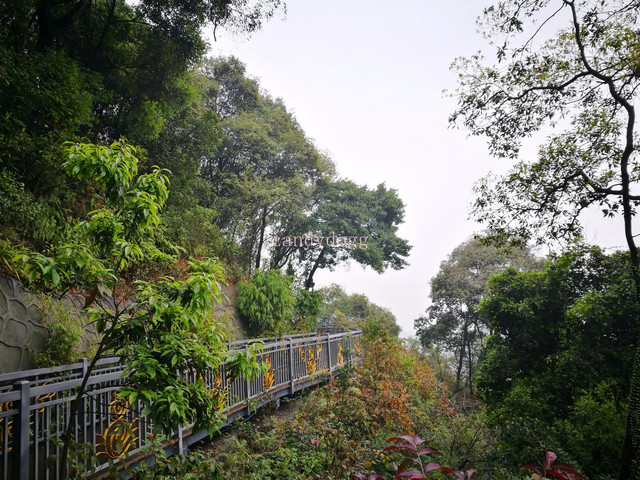 白云山                      郑仙岩栈道