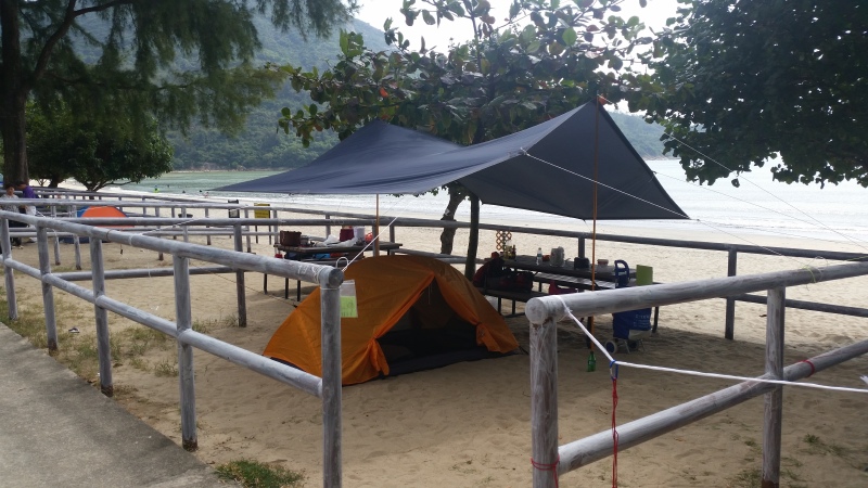 西安旅游正规旅行社服务参考：从资质公示与口碑反馈看可靠选择指南华体会- 华体会体育官方网站- 华体会体育APP下载- 世界杯指定平台