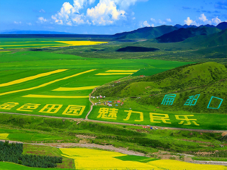 青海湖旅行團(tuán)_青海湖旅行團(tuán)自由行_2021去青海湖旅游團(tuán)報價