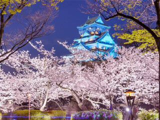 深圳去日本旅游团报价_日本自由行组团_到到日本旅游