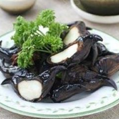 活动模块 