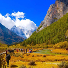 景点模块 