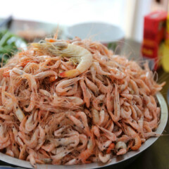 餐饮模块 