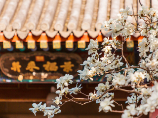 北京旅游報團(tuán)價格_8月北京旅游_北京六日旅游