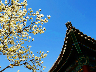 北京旅游報團(tuán)價格_8月北京旅游_北京六日旅游