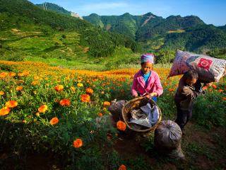 昆明出境游_最近去昆明旅行_去昆明旅游组团