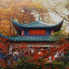 活动模块 