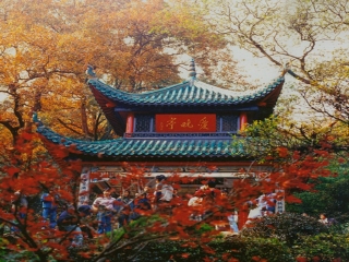 旅行團(tuán)湖南張家界游_暑假湖南張家界游價(jià)格_8月湖南張家界旅游