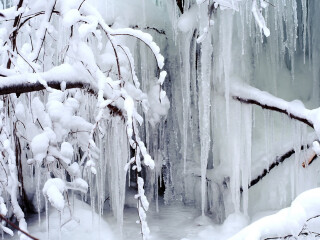 本溪关门山门票_本溪关门山门票的价格_本溪