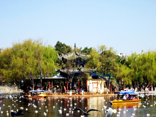 跟團(tuán)云南騰沖旅游價(jià)格表_以往國(guó)慶云南騰沖游價(jià)格_云南騰沖自由行旅游團(tuán)