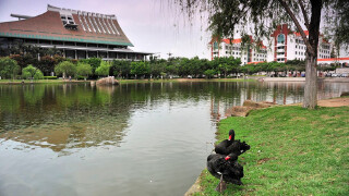 清明节去厦门是否推荐_清明节去厦门穿衣指南_清明节去厦门游玩推荐