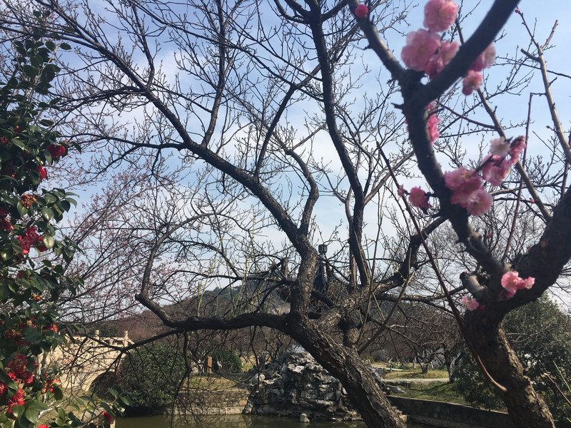 苏州西山梅园·林屋洞景区