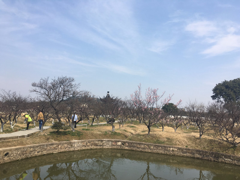 苏州西山梅园·林屋洞景区