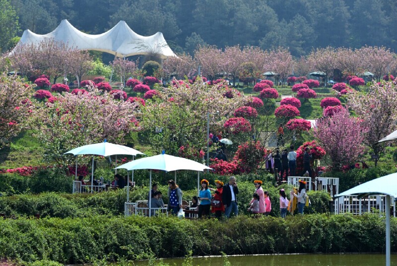 新津花舞人间景区