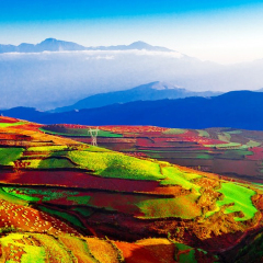 景点模块 