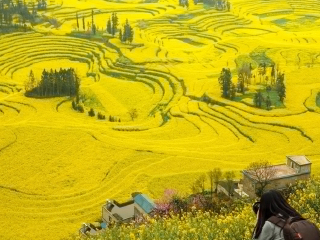 暑假云南昆明游價格_云南昆明旅行團旅游報價_云南昆明旅游價格