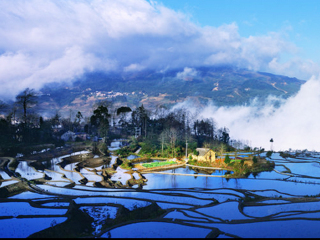 云南元陽梯田旅游跟團(tuán)需多少錢_云南元陽梯田游特價團(tuán)_云南元陽梯田報團(tuán)旅游多少錢